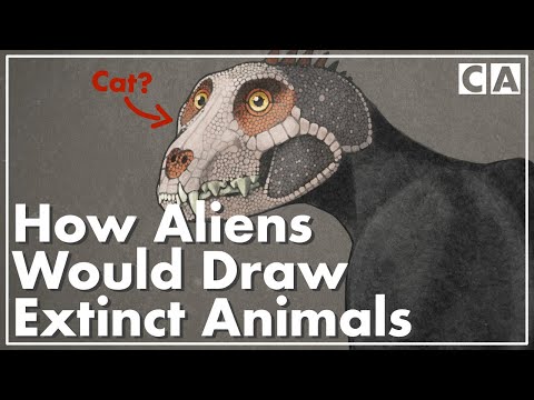 “All Todays” Explained | Speculative Zoology