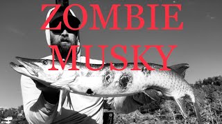 Zombie looking Musky eats a BONDY BAIT
