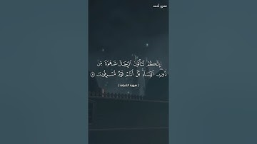 ما تسير من سورة الأعراف 2023  بعض قصص الانبياء من السورة 💚🌷 عمرو أحمد