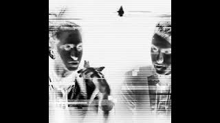 Sultan   Shepard - The Way