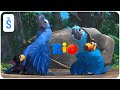 Rio 2011 Scene Rafael And Kids Rio 2011 Scene Rafael And Kids
