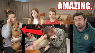 New Zealand Family React to SOLDIERS COMING HOME TO THEIR DOGS (EMOTIONAL)