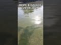 Море В Одессе 29.09.2025 – Волны, Пляж И Погода Для Отдыха В Конце Сентября 🌊☀️1