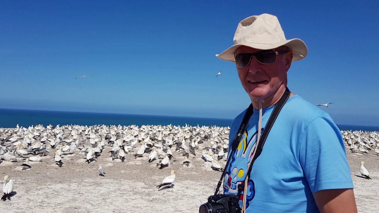 Cape Kidnappers, NZ YouTube