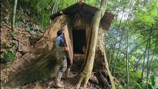 Top 3 houses in the forest, bushwalking