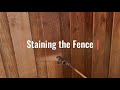 Fence staining timelapse