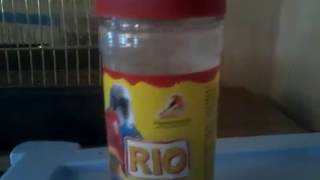 RIO- ОПАСНЫЙ корм для попугаев! Это должен видеть каждый владелец попугая!