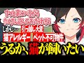 【ポケモンSV/ゼロの秘宝/碧の仮面】最近、猫が飼いたいうるか。だがいろいろ課題が…【うるか切り抜き/うるか】