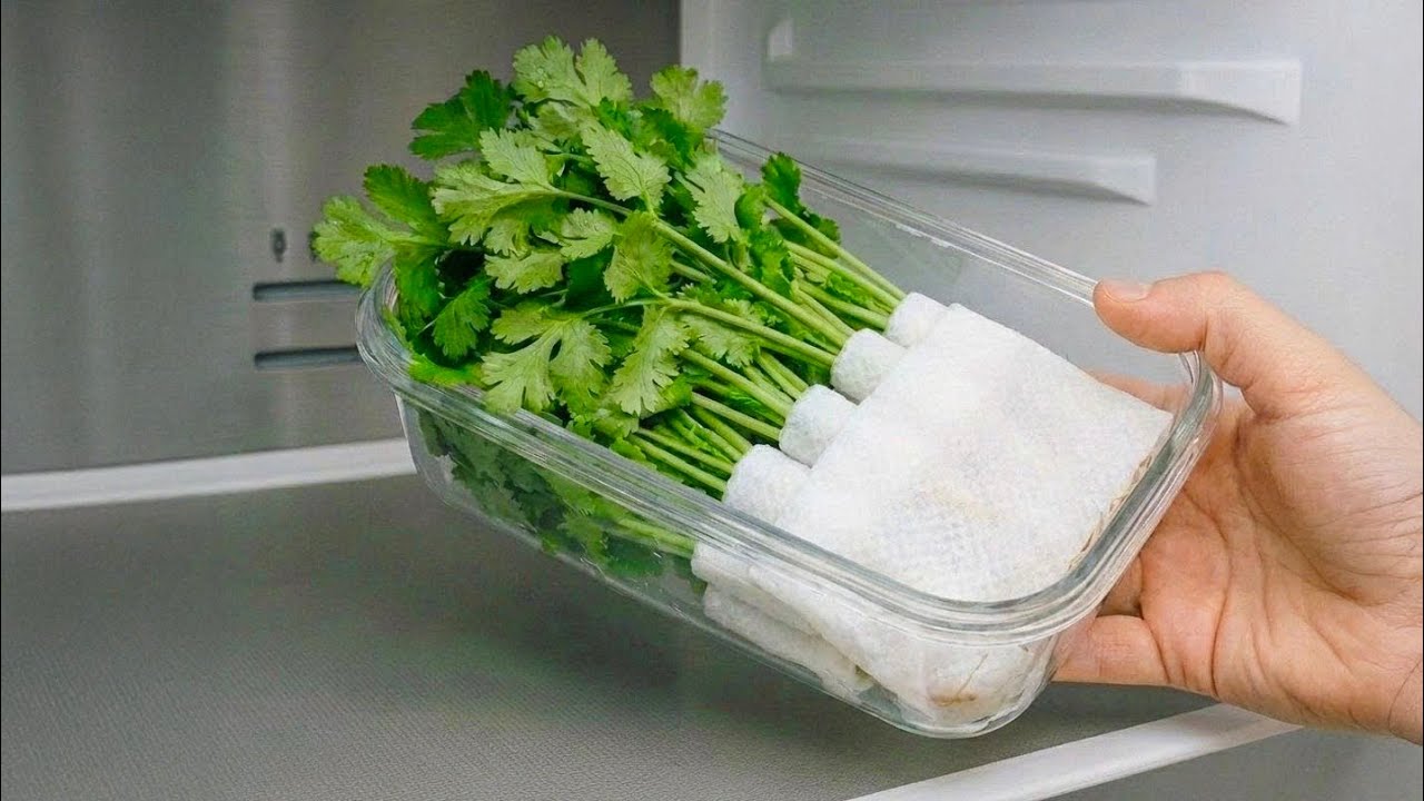 Вот как я сохраняю кинзу в течение года – она не портится, морозилка не нужна! | Click DIY
