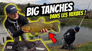 Quand les poissons se méritent....grosses tanches au milieu des herbes !