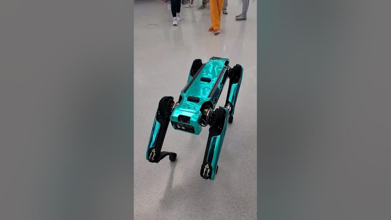 Robodog at Museum of the Future Dubai YouTube