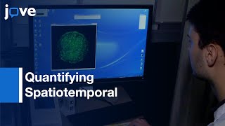 Quantifying Spatiotemporal Parameters-Cellular Exocytosis: Micropatterned Cells l Protocol Preview