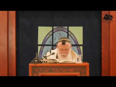 במה המברך צריך לכוון לצאת ידי חובה? | הרב אליקים לבנון | הלכות בציעת הפת | 4