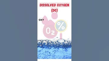 Dissolved Oxygen VS Biological Oxygen Demand