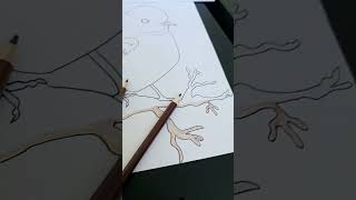 Blue Bird Nature coloring page easy to print on Etsy shop at Allie Art Studio