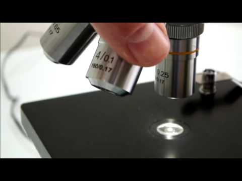 Vídeo: Com Utilitzar Un Microscopi
