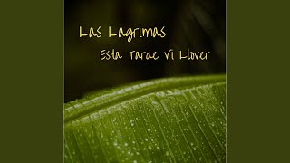 Video thumbnail of "Las Lagrimas - Esta Tarde Vi Llover"