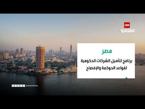 FRA Chairman: Egypt Launches a Program to Prepare State-Owned Enterprises for Stock Exchange Listing