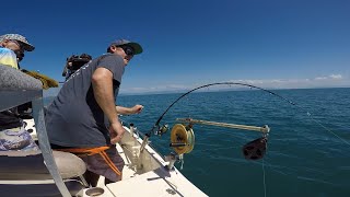 IFISH Hinchinbrook Island