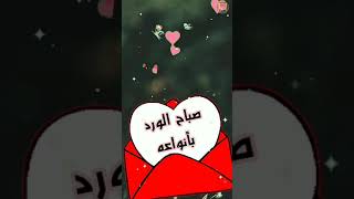 صباحياتصباحيات جميلةاجمل صباح الخير صباح مباركصباح الوردصباح الفل