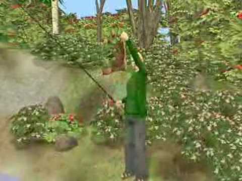 Video: The Sims 2 Seasons