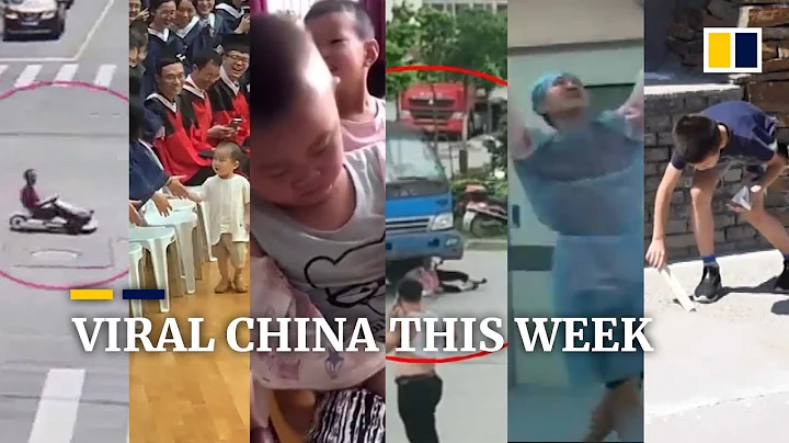 Viral China this week: Adorable 'guest of honour', a scam attempt and much more - DayDayNews