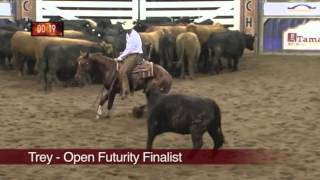SDP Buffalo Ranch Australia 2013 NCHA Futurity