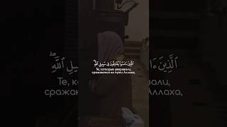 Мухаммад аль-Люхайдан | Сура: 4 Ан-Ниса | 76