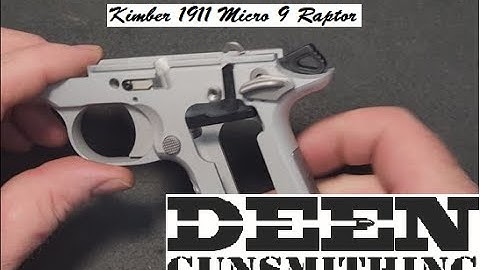Kimber 1911 Micro 9 Raptor 9mm - Disassembly and Reassembly