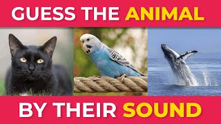 ANIMAL BY SOUND 🐯 EASY, MEDIUM, HARD and IMPOSSIBLE LEVEL | Animal Quiz