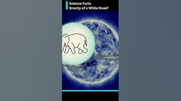 Gravity of a White Dwarf