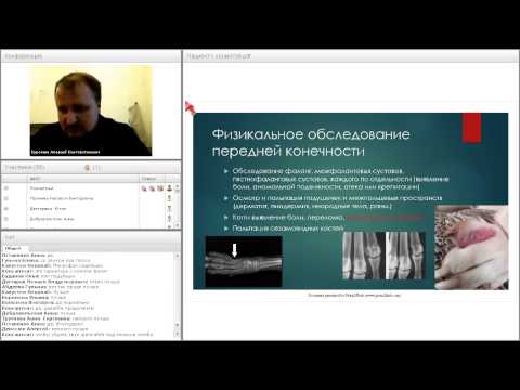 1 часть «Пациент с хромотой. Как поставить диагноз? Ортопедическое обследование»