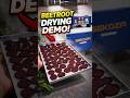 Sekoza Dryer Machine | Beetroot Drying Process Demo