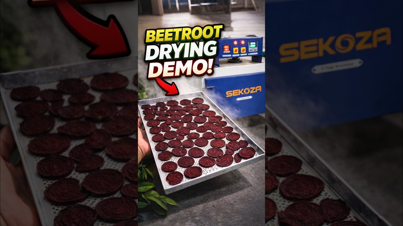 Sekoza Dryer Machine | Beetroot Drying Process Demo