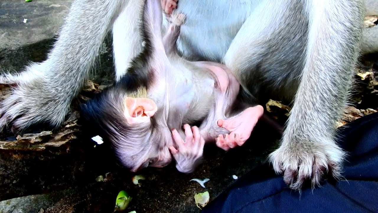 foundry Active Newborn Soriya is Very Sweet baby with Mummy gentle