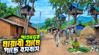 পাহাড়ের মায়াবী গ্রামে হাতির ভয়ে গাছে বসবাস |#villagelife | Remote Hilly Village Life in Odisha 🤭