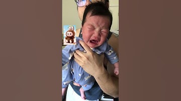Thumbnail of POPLAND LABUBU song but it's my Baby's Cry