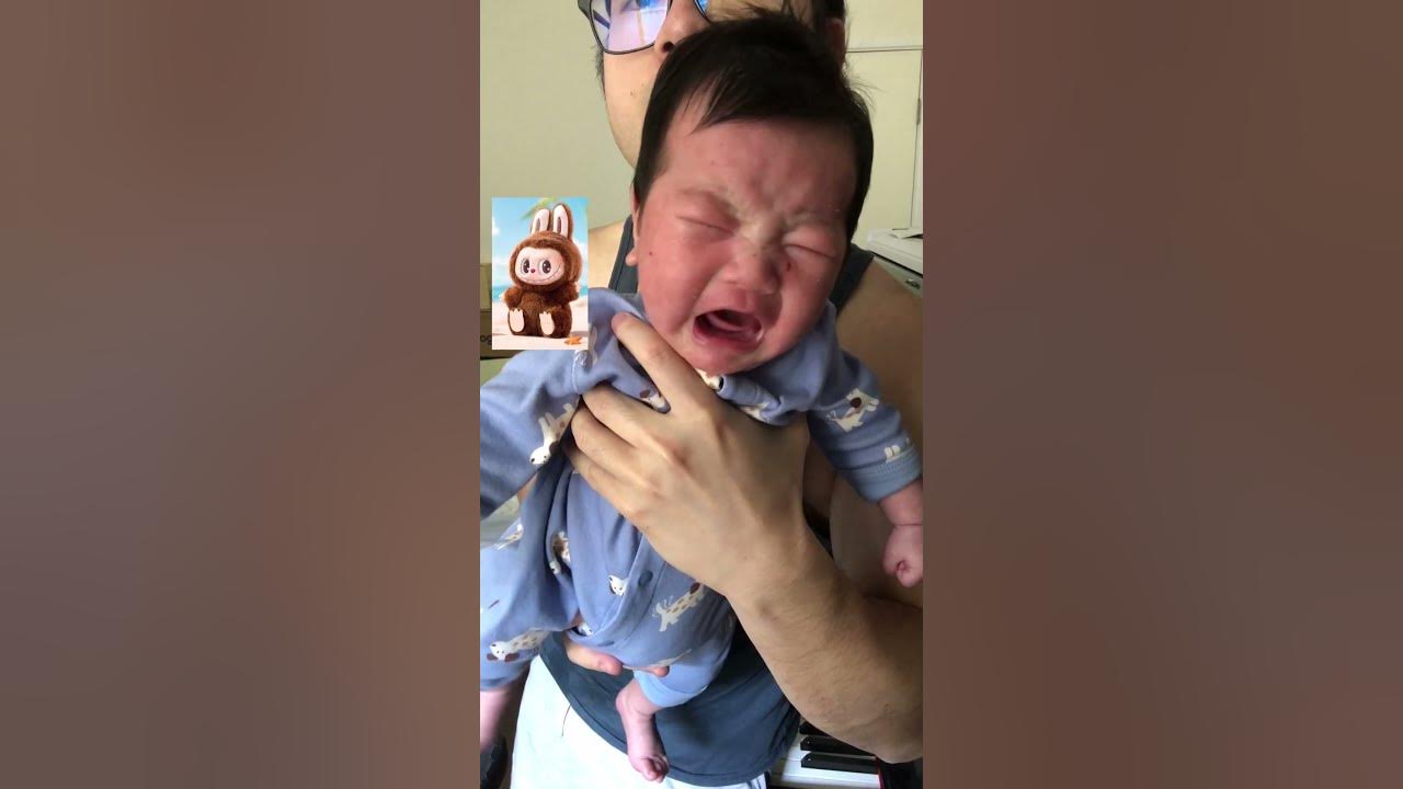 POPLAND LABUBU song but it's my Baby's Cry