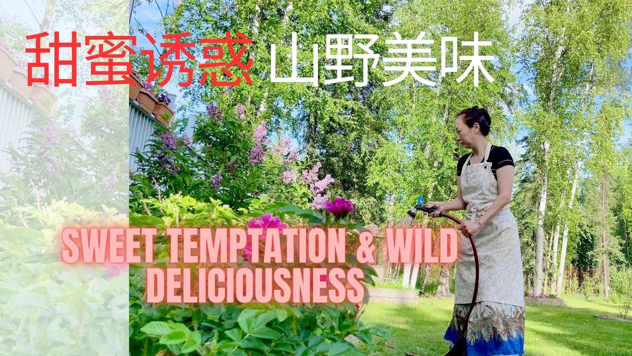 安娜家的甜蜜诱惑&山野美味，安娜在阿拉斯加，安娜在阿拉斯加的慢生活;阿拉斯加；Alaska,Anna in Alaska,Alaska