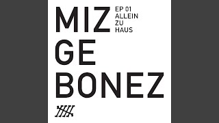 Ganz Normaler Typ - Mizgebonez