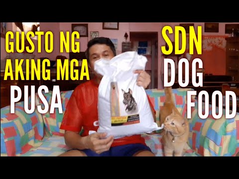 Nagustuhan Ng Aking Mga Pusa Ang SDN Na Dog Food (#183)