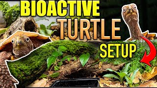 EASY BIOACTIVE TURTLE TANK SETUP!! | Leaf turtle habitat