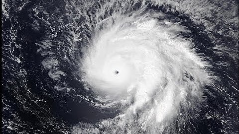 Hurricane Sam: The Perfect Case Study Trailer