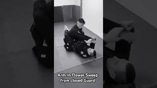 Arm In - Flower Sweep from closed Guard. grappling submission jiujitsu bjj