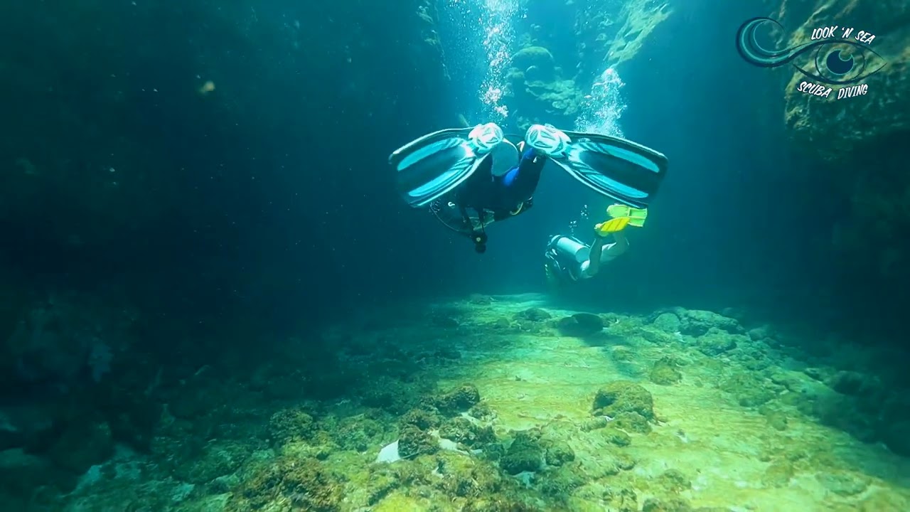 Hole in Wall - Roatan Honduras 2022