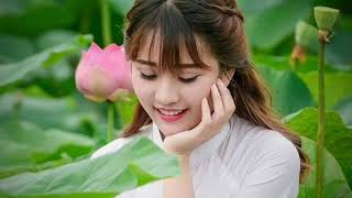 บัวตูมบัวบาน  สายัณห์ สัญญา