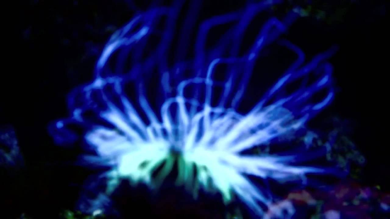 reitstunden im ponyhof 04/06/2010