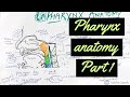 Pharynx anatomy part 1topography and its part