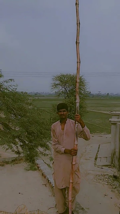 #1Augest # Pakistan #zindabad