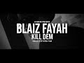 DJ Bryan Blaiz Fayah Kill Dem DAWG Riddim mp3